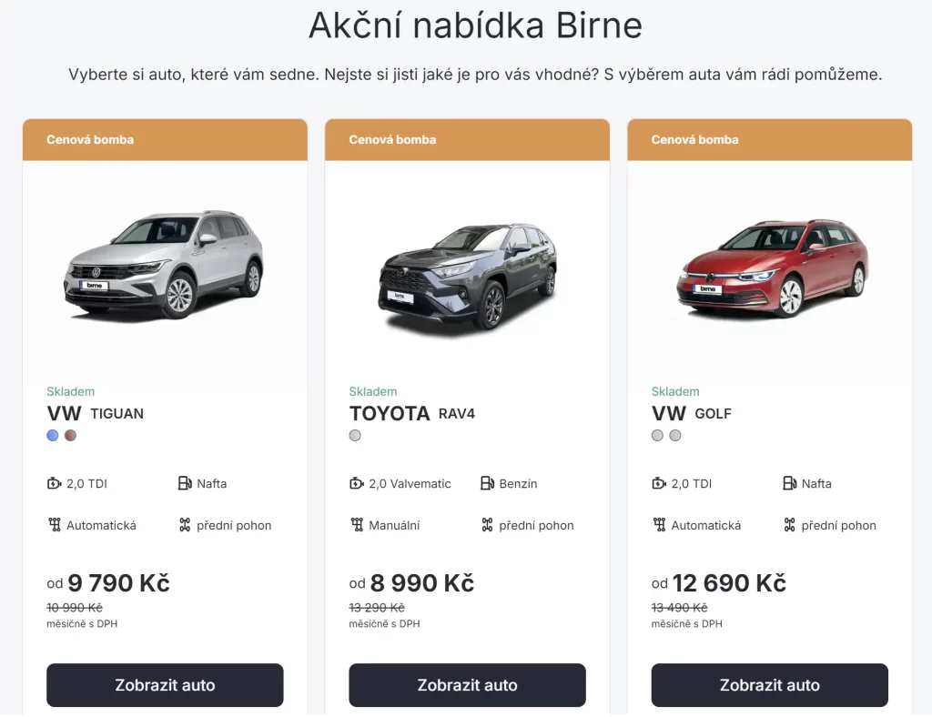 Birne operativní leasing